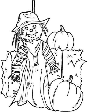 Halloween Scarecrow Coloring Page